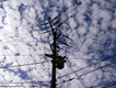 2009102601.jpg