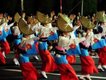 awaodori.jpg