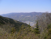 2010042501.jpg