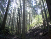 2010042502.jpg