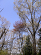 2010042503.jpg