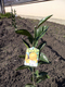 2012012901.jpg