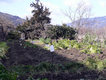 2012012904.jpg