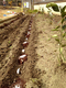 2012022601.jpg