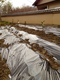 2012022602.jpg