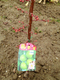 2012022604.jpg