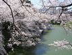 2012040702.jpg
