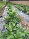 2012042200.jpg