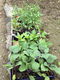 2012042201.jpg