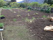 2012042202.jpg