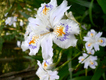 2012050501.jpg