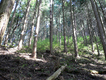 2012050502.jpg