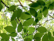 2012050503.jpg